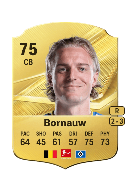 Sebastiaan Bornauw