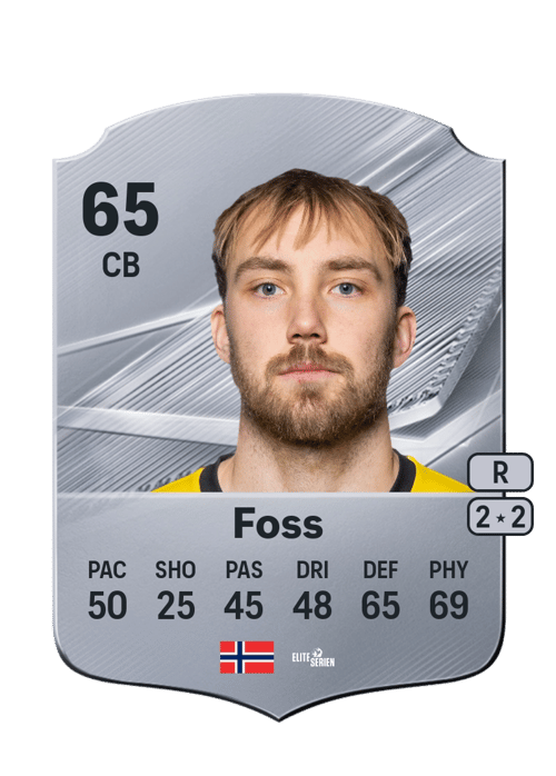 Sander Moen Foss