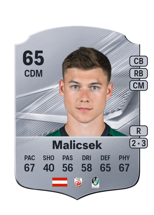 Lukas Malicsek