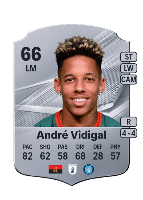 André Vidigal