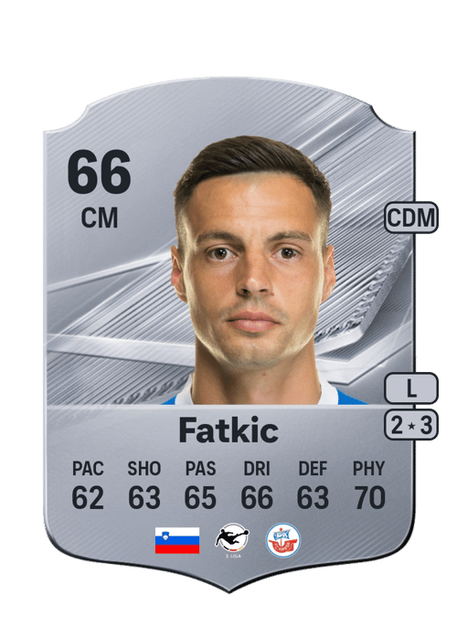 Kenan Fatkic