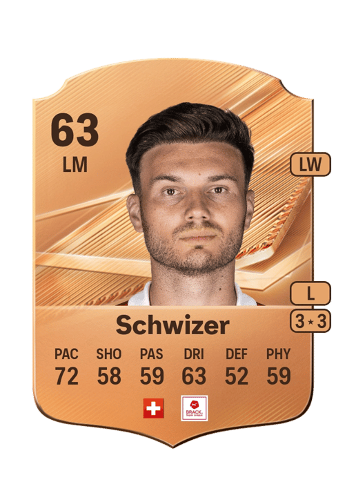Dominik Schwizer