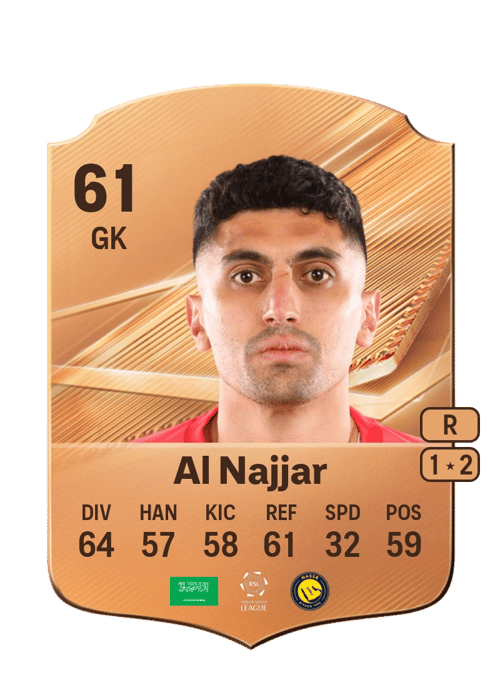 Raghid Al Najjar
