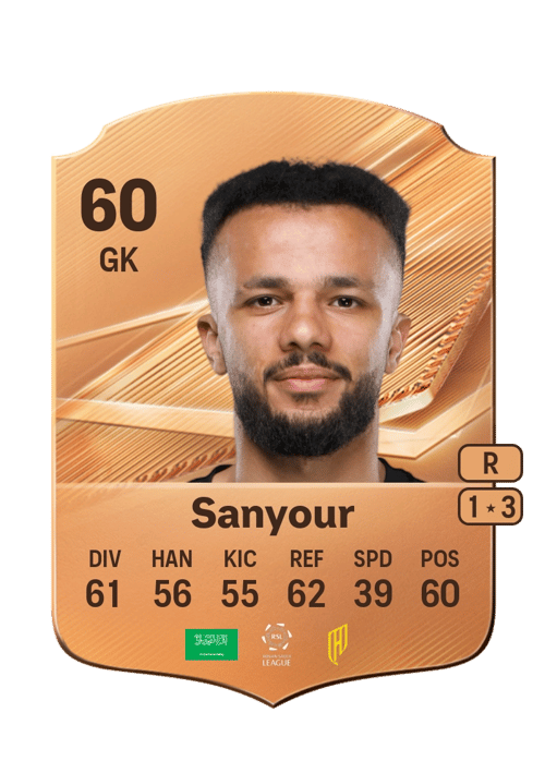Meshari Sanyour
