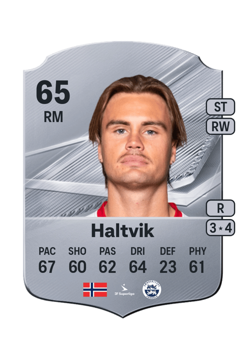 Teodor Berg Haltvik