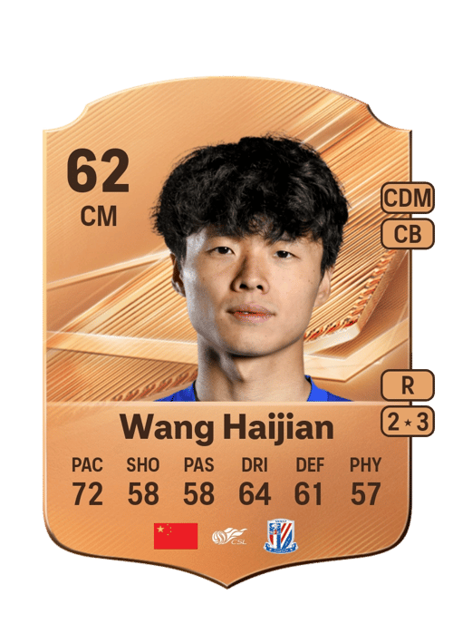 Wang Haijian