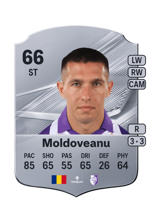 Robert Moldoveanu