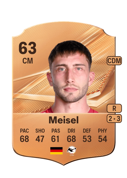 Dominik Meisel