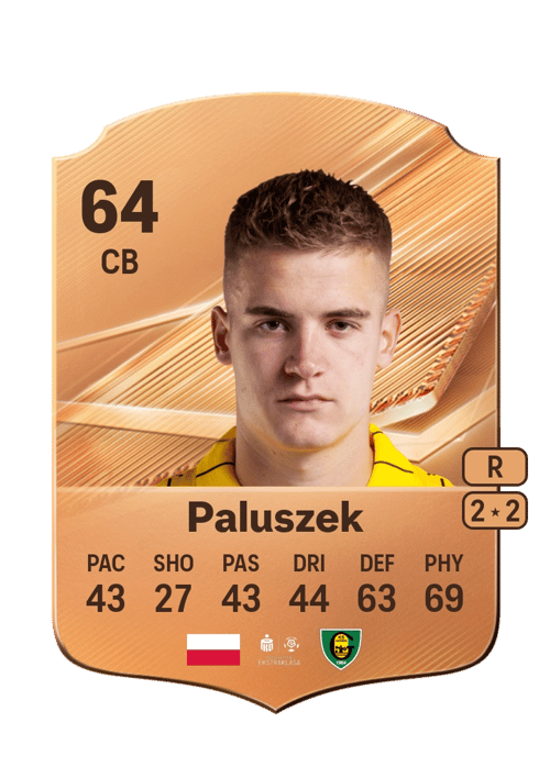 Aleksander Paluszek