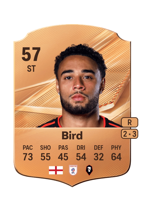 Jay Bird