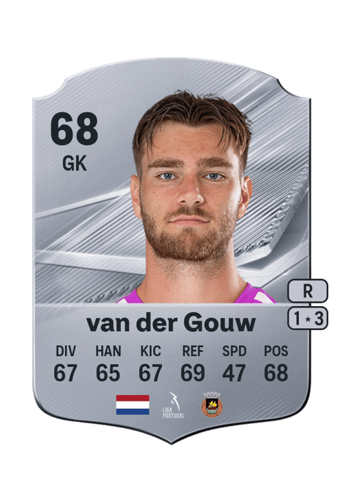 Ennio van der Gouw