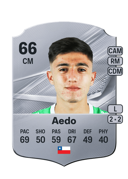 Nicolás Aedo