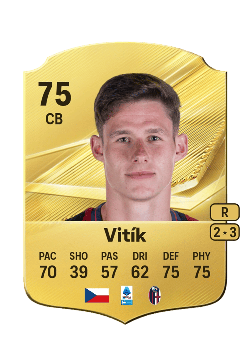 Martin Vitík