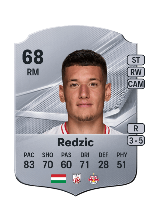 Damir Redzic