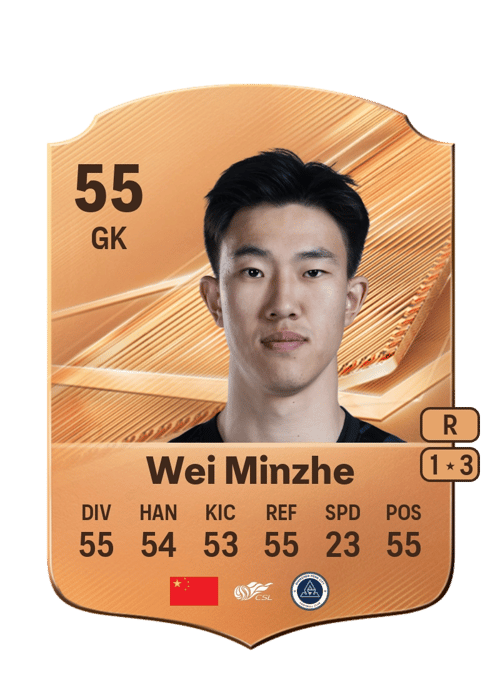 Wei Minzhe