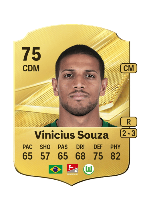 Vinicius Souza