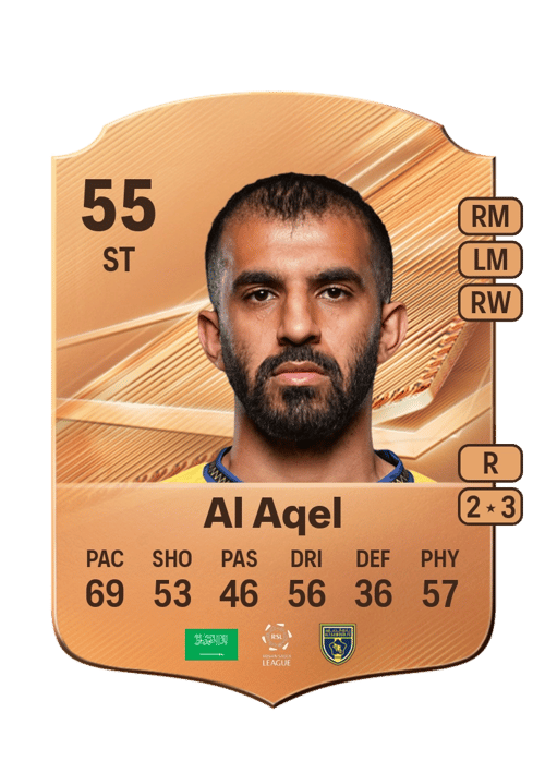 Mohammed Al Aqel