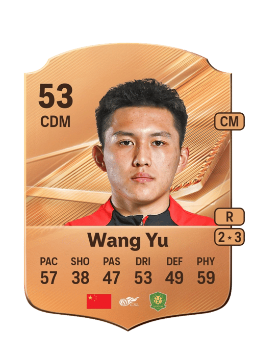 Wang Yu