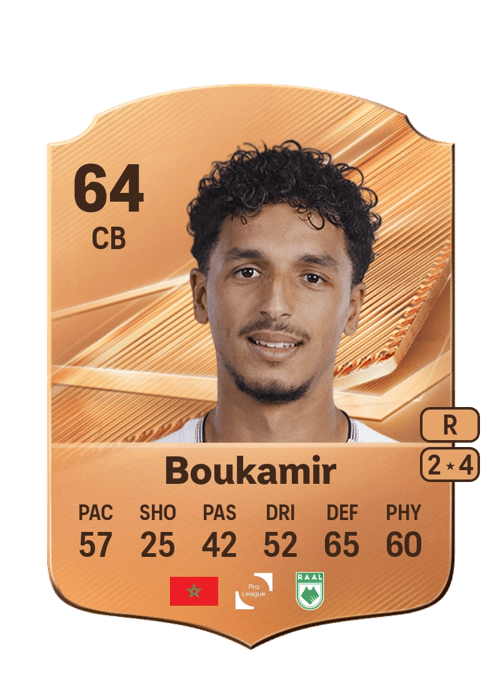 Mehdi Boukamir