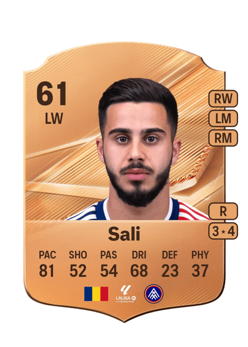 Enes Sali