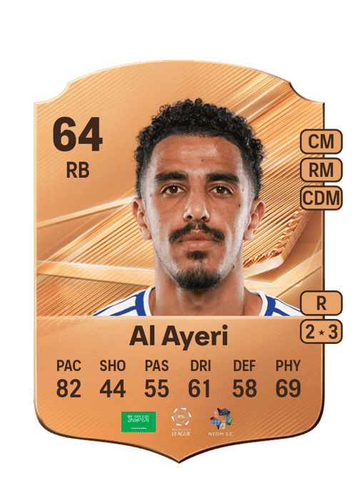 Abdulmalek Al Ayeri