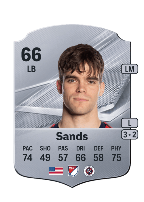 Will Sands