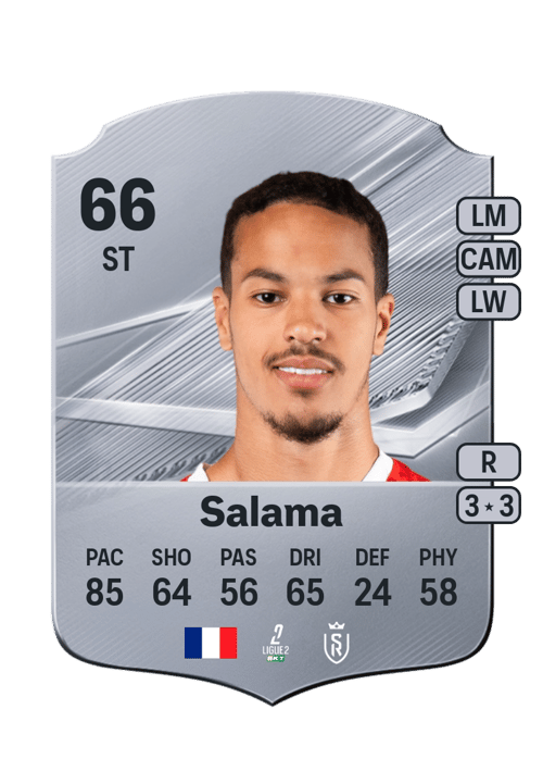 Amine Salama