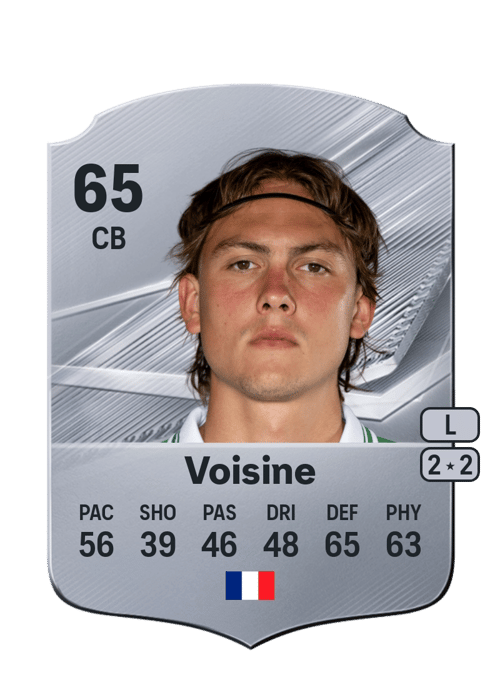 Robin Voisine