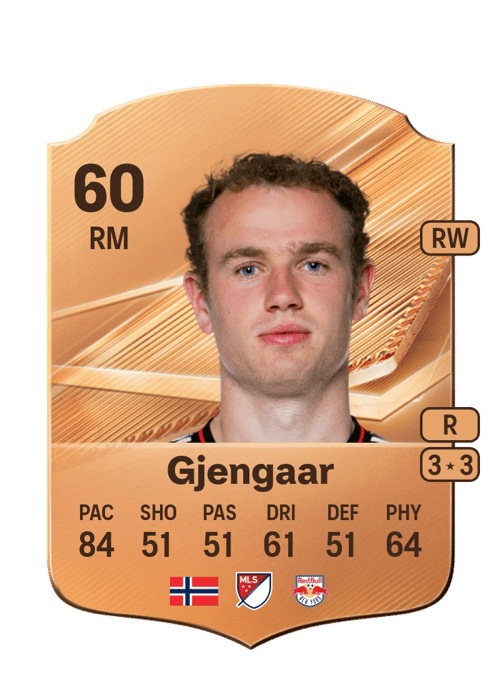 Dennis Gjengaar