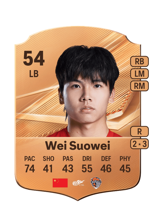 Wei Suowei