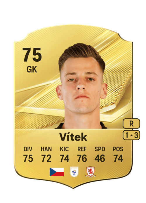 Radek Vítek