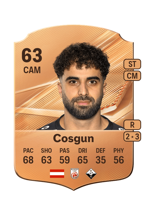 Denizcan Cosgun