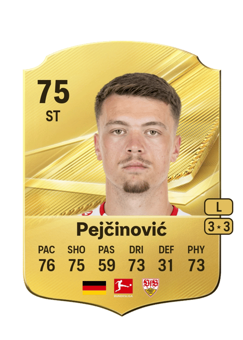 Dženan Pejčinović