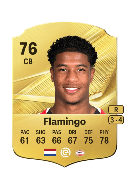 Ryan Flamingo