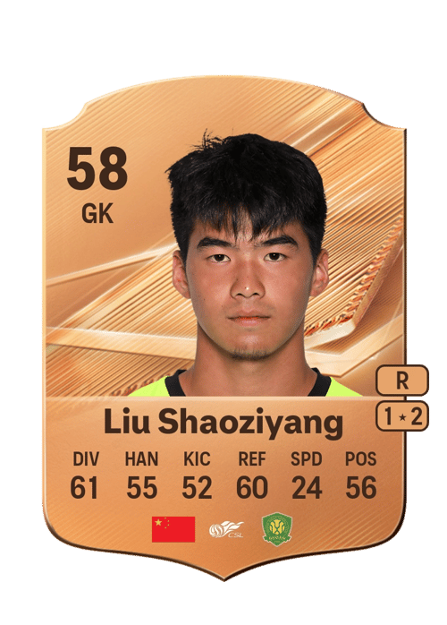 Liu Shaoziyang