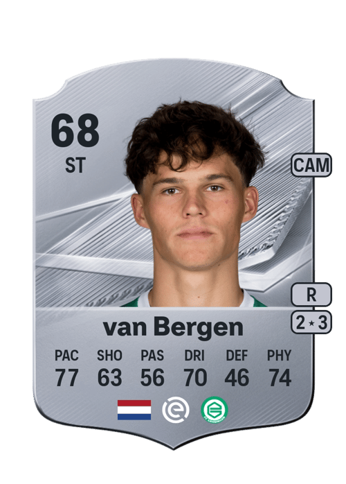 Thom van Bergen