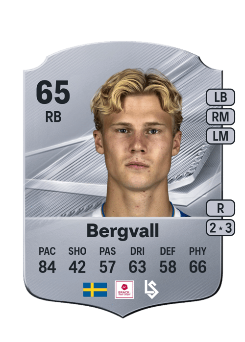 Theo Bergvall