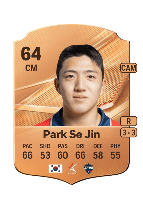 Park Se Jin