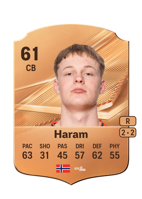 Simen Vatne Haram