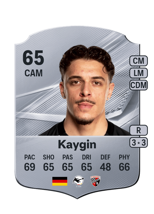 Dennis Kaygin