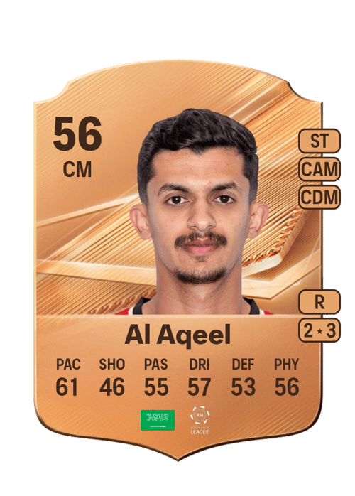 Mohammed Al Aqeel