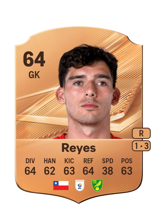 Vicente Reyes