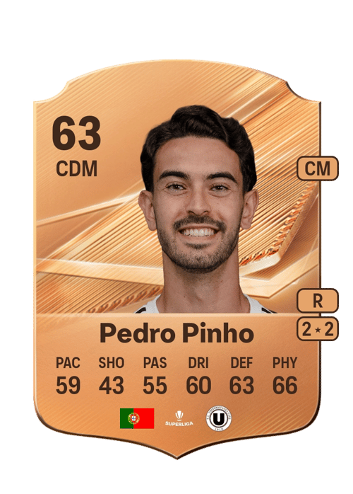Pedro Pinho