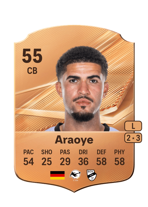 Raphael Araoye