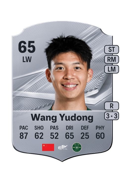 Wang Yudong