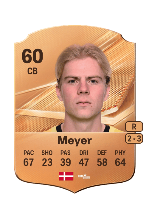 Johan Meyer