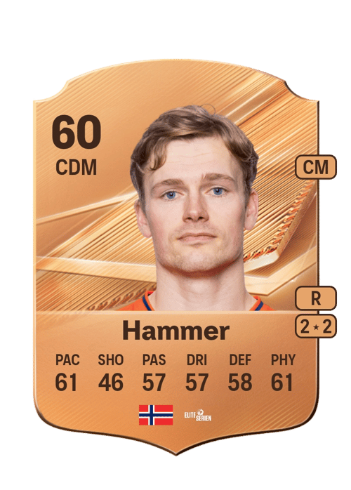 Håkon Butli Hammer