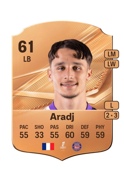 Ylies Aradj