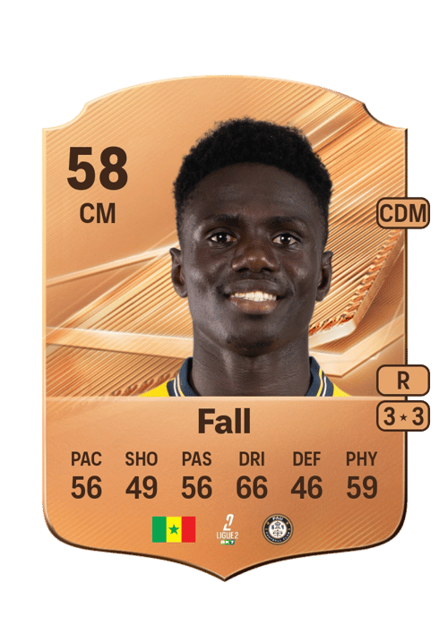 Cheikh Fall