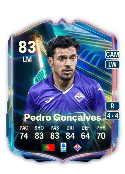Pedro Gonçalves